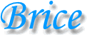 brice01.gif (3487 bytes)